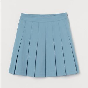 Pleated Skirt